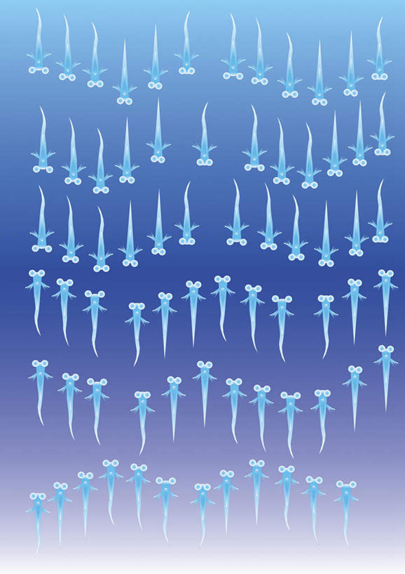 游泳,无人,竖图,插画,室内,白天,正面,数码,科技,野生动物,一排,阴影,蓝色背景,整齐,网络,鱼,高光,几何,计算机图形,合成,图画,鱼类,画,排列,蓝色,动物,可爱,活泼,游动,电脑合成图,数码合成图,队列,漫画,写实,具体,具象,鳉鱼,鳉,彩图