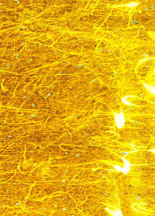 无人,竖图,插画,室内,白天,正面,数码,科技,阴影,网络,线,弦,高光,几何,计算机图形,合成,图画,画,黄色,金色,线绳,明亮,电脑合成图,数码合成图,漫画,写实,具体,具象,彩图