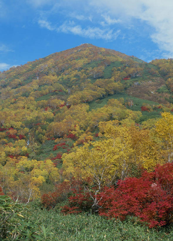 无人,竖图,室外,白天,正面,旅游,度假,草地,草坪,石头,美景,秋季,山,山脉,树林,植物,长野县,日本,亚洲,阴影,光线,石子,影子,景观,山顶,山峰,云,云朵,山峦,云彩,娱乐,草,树,树木,蓝色,绿色,白云,蓝天,天空,阳光,自然,群山,天,享受,休闲,景色,放松,生长,晴朗,成长,自然风光,东亚,沉积岩,本州,本州岛,日本国,中部地方,长野,颠峰,极峰,水成岩,北安,北安昙郡,石块,岩石,晴空,秋,秋天,彩图,小谷村