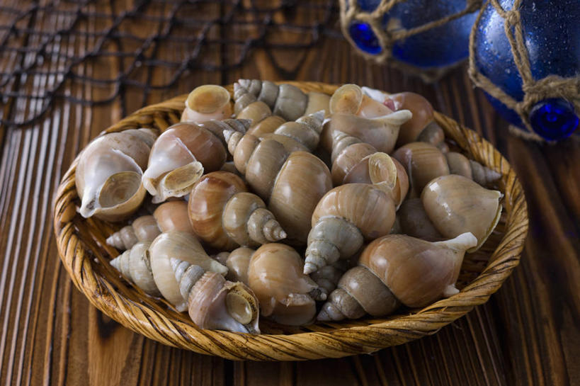 无人,交叉,横图,俯视,室内,特写,白天,烹饪,餐桌,桌子,竹子,玻璃,一堆,许多,阴影,堆叠,堆积,竹制,编织,反射,篮子,影子,日本料理,料理,食品,很多,菜肴,美食,玻璃制品,食物,两个,一个,蓝色,竹篮,日式料理,日式,佳肴,单个,餐台,竹条,堆,交织,竹制品,螺蛳,田螺,蜗篱,师螺,蜗蠃,方田螺,穿插,彩图,高角度拍摄,浮法玻璃