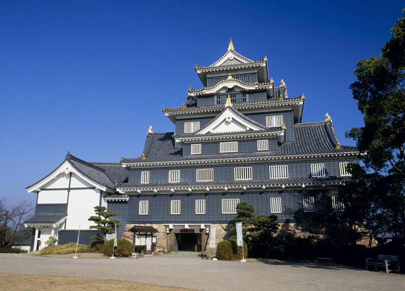 无人,横图,室外,白天,仰视,旅游,度假,名胜古迹,植物,标志建筑,地标,建筑,日本,亚洲,阴影,遗迹,光线,影子,堡垒,城堡,古迹,文物,娱乐,建设,古建筑,树,树木,蓝色,绿色,蓝天,天空,阳光,自然,天,享受,休闲,旅游胜地,放松,生长,晴朗,成长,要塞,古文明,东亚,本州,万里无云,本州岛,日本国,中国地方,冈山,冈山县,县厅,冈山市,设防,晴空,晴空万里,彩图,低角度拍摄,乌城,冈山城