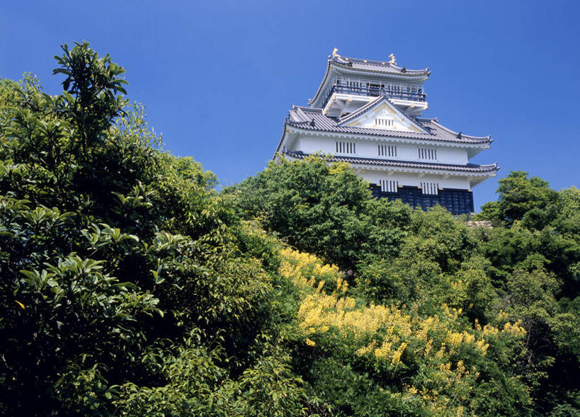 无人,横图,室外,白天,仰视,旅游,度假,名胜古迹,森林,树林,植物,标志建筑,地标,建筑,日本,亚洲,阴影,遗迹,光线,影子,堡垒,城堡,古迹,文物,娱乐,建设,古建筑,树,树木,蓝色,绿色,蓝天,天空,阳光,自然,天,享受,休闲,旅游胜地,放松,生长,晴朗,成长,要塞,古文明,东亚,本州,万里无云,本州岛,日本国,中部地方,岐阜,岐阜县,设防,美浓,美浓国,晴空,晴空万里,彩图,低角度拍摄,岐阜城