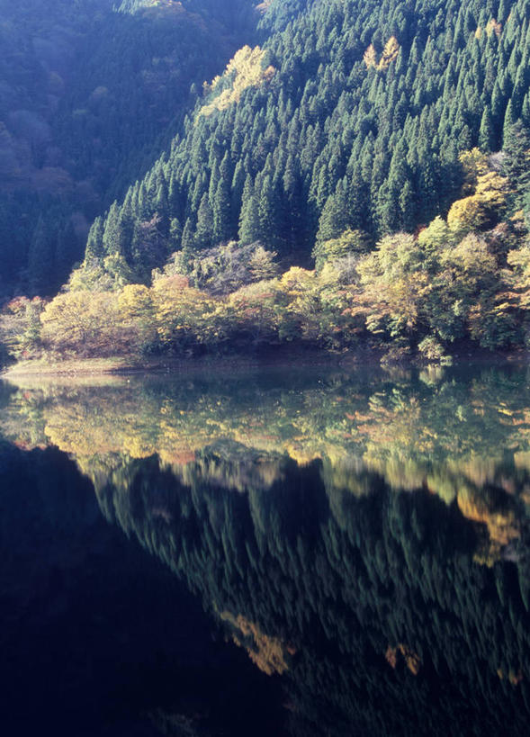 无人,竖图,室外,白天,正面,旅游,度假,灌溉,湖,湖泊,美景,森林,山,山脉,树林,水,植物,建筑,东京,日本,亚洲,蓄水,阴影,光线,影子,湖面,景观,山峰,水流,水面,山峦,娱乐,建设,水坝,水库,树,树木,绿色,阳光,自然,湖水,群山,享受,休闲,发电,景色,放松,生长,成长,自然风光,东亚,坝,航运,本州,关东地方,本州岛,日本国,东京都,防洪,供水,水力发电,奥多摩湖,彩图,奥多摩町,多摩地方,多摩地区,多摩地域,三多摩,西多摩郡
