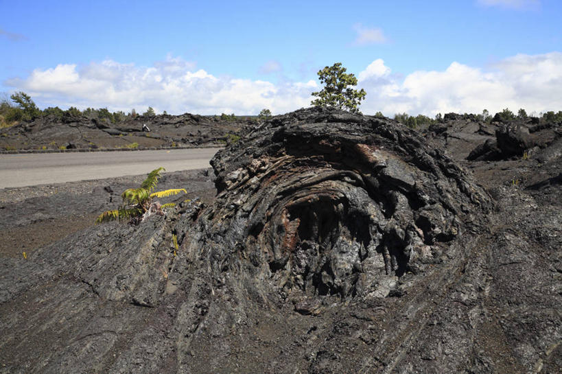 无人,横图,室外,白天,正面,旅游,度假,石头,美景,植物,夏威夷,美国,阴影,光线,石子,影子,景观,云,云朵,云彩,娱乐,树,树木,蓝色,绿色,白云,蓝天,天空,阳光,自然,天,享受,休闲,景色,熔岩,放松,生长,晴朗,成长,北美,北美洲,国家公园,自然风光,美洲,火山岩,火山岛,夏威夷岛,夏威夷州,爱洛哈之州,夏威夷火山国家公园,北亚美利加洲,亚美利加洲,火山公园,火山国家公园,玄武岩,石块,岩石,晴空,彩图