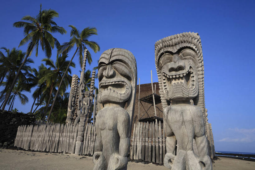 无人,横图,室外,白天,仰视,旅游,度假,岛屿,美景,沙滩,植物,棕榈树,叶子,雕塑,夏威夷,美国,阴影,艺术,装饰,光线,雕刻,雕像,沙子,影子,海岸,景观,云,云朵,绿叶,沙地,云彩,娱乐,石雕,树,树木,蓝色,绿色,白云,蓝天,天空,阳光,自然,工艺品,天,享受,休闲,嫩叶,景色,放松,生长,晴朗,成长,纪念,美术,北美,北美洲,自然风光,主题,美洲,陈列,棕榈叶,夏威夷岛,夏威夷州,爱洛哈之州,功能,美学,北亚美利加洲,亚美利加洲,大岛,叶,叶片,海滩,列岛,群岛,诸岛,晴空,棕树,棕榈,彩图,低角度拍摄,科纳市