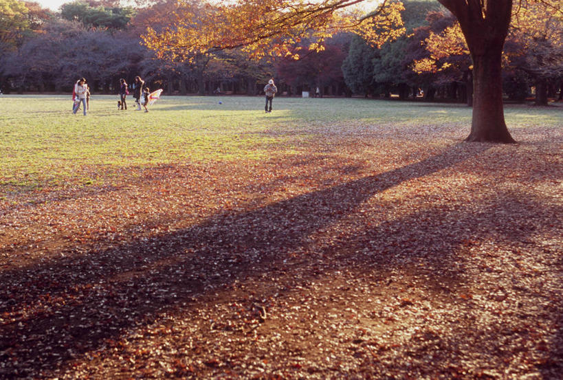 东方人,公园,游乐园,走,横图,室外,白天,正面,度假,草地,草坪,美景,秋季,植物,城市风光,城市,游乐场,叶子,东京,日本,亚洲,行人,游客,游人,阴影,服装,光线,影子,景观,枯叶,落叶,许多人,休闲装,黄种人,娱乐,路人,旅客,草,树,树木,衣服,绿色,阳光,自然,一群人,享受,休闲,休闲服,景色,放松,服饰,生长,成长,东亚,本州,关东地方,本州岛,日本国,东京都,涩谷,涉谷,乐园,涩谷区,代代木公园,过客,男人,男性,年轻男性,年轻女性,女人,女性,亚洲人,叶,叶片,秋,秋天,步行,散步,走路,彩图,全身
