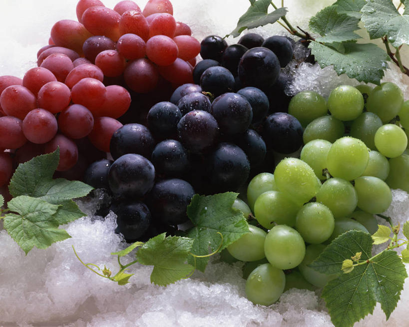 无人,横图,俯视,室内,特写,白天,葡萄,水果,叶子,三串,阴影,新鲜,反射,影子,生食,食品,果实,绿叶,食物,绿色,紫色,嫩叶,有机食品,绿色食品,叶,叶片,山葫芦,蒲桃,草龙珠,彩图,高角度拍摄