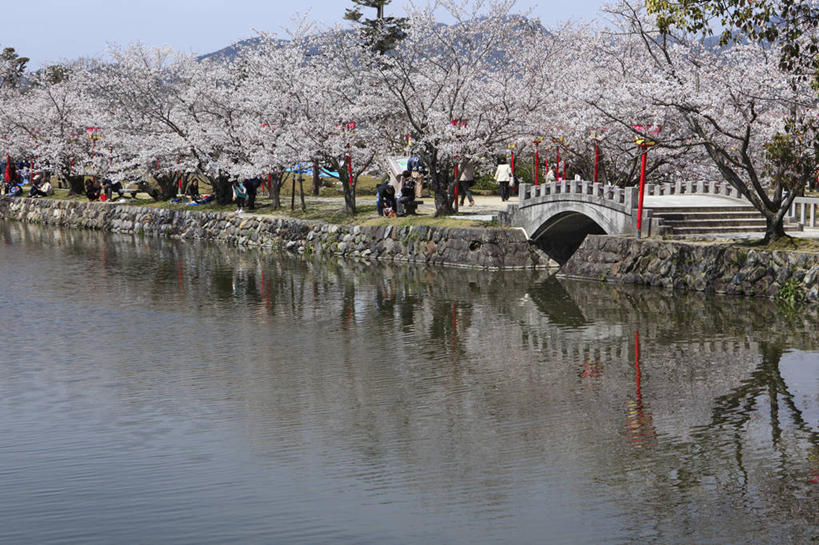 无人,横图,室外,白天,正面,旅游,度假,幸福,纯洁,河流,石头,美景,树林,水,植物,樱花,日本,亚洲,阴影,盛开,光线,石子,影子,河水,景观,水流,桥,花蕾,娱乐,石桥,拱桥,栈桥,花,花瓣,花朵,鲜花,树,树木,蓝色,绿色,蓝天,天空,阳光,自然,天,花苞,花蕊,享受,休闲,景色,放松,拱形,生长,晴朗,成长,等待,人行桥,石拱桥,生命,自然风光,东亚,万里无云,日本国,九州本岛,九州,九州岛,佐贺,佐贺县,九州地方,仙樱花,福岛樱,青肤樱,高尚,热烈,石块,晴空,晴空万里,荆桃,彩图,嬉野市