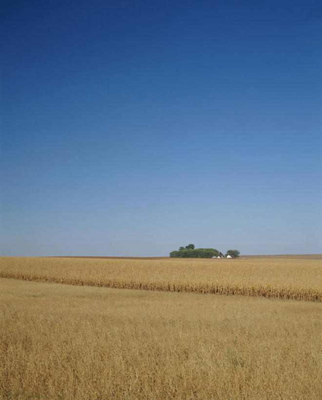 无人,农田,竖图,室外,白天,正面,旅游,度假,庄稼,农作物,美景,植物,船,美国,阴影,光线,影子,地平线,景观,辽阔,地面,娱乐,树,树木,蓝色,绿色,蓝天,天空,阳光,自然,天,享受,休闲,广阔,景色,放松,军舰,生长,晴朗,成长,一望无际,北美,北美洲,自然风光,延伸,美洲,海军,战舰,战列舰,美军,军用战舰,战船,爱荷华战列舰,爱荷华号战列舰,万里无云,天地相交,北亚美利加洲,亚美利加洲,无边无际,一马平川,晴空,晴空万里,玉米田,彩图,耕地,庄稼田