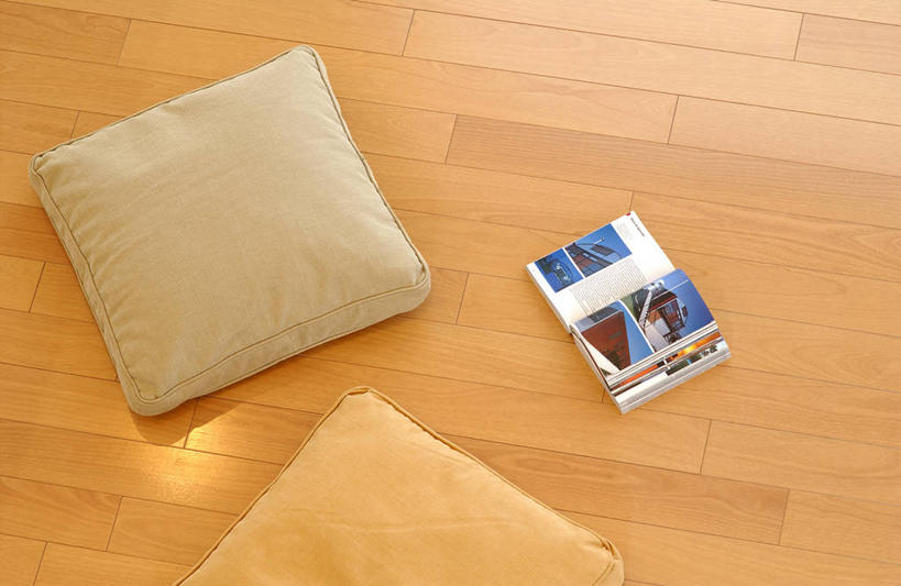 无人,横图,俯视,室内,特写,白天,阅读,地板,靠垫,静物,杂志,学习,阴影,反射,影子,靠枕,地面,木地板,两个,垫子,枕头,看,读书,浏览,两本,彩图,高角度拍摄