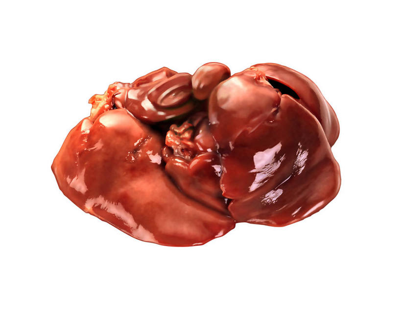 内脏,肝脏,无人,横图,插画,室内,白天,白色背景,正面,数码,科技,阴影,网络,高光,几何,计算机图形,合成,图画,画,红色,电脑合成图,数码合成图,合成图,漫画,写实,具体,具象,肝,彩图,鸡肝