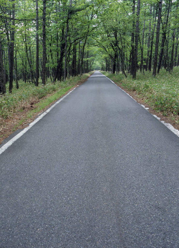 无人,竖图,室外,白天,正面,消失点,旅游,度假,草地,草坪,美景,树林,植物,道路,路,日本,亚洲,景观,小路,交通,娱乐,草,树,树木,绿色,自然,享受,休闲,景色,放松,乡间小路,生长,成长,自然风光,东亚,日本国,彩图,没影点,灭点