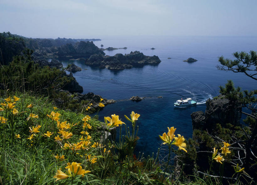 无人,横图,俯视,室外,白天,旅游,度假,草地,草坪,海浪,海洋,花海,花圃,石头,美景,山,山脉,植物,萱草,叶子,日本,亚洲,阴影,盛开,光线,石子,影子,景观,浪花,山峰,水平线,辽阔,海平线,山峦,花蕾,娱乐,草,花,花瓣,花朵,花卉,鲜花,黄色,蓝色,绿色,蓝天,天空,阳光,自然,海水,花丛,花束,花田,群山,天,花苞,花蕊,享受,休闲,广阔,景色,放松,晴朗,一望无际,自然风光,海景,东亚,本州,万里无云,本州岛,日本国,中部地方,新潟,新潟县,疗愁,萱草花,宜男,无边无际,一马平川,大海,风浪,海,海水的波动,近岸浪,石块,岩石,涌浪,晴空,晴空万里,忘忧草,金针菜,黄花菜,黄花,彩图,高角度拍摄,佐渡市,水天相接,水天一线