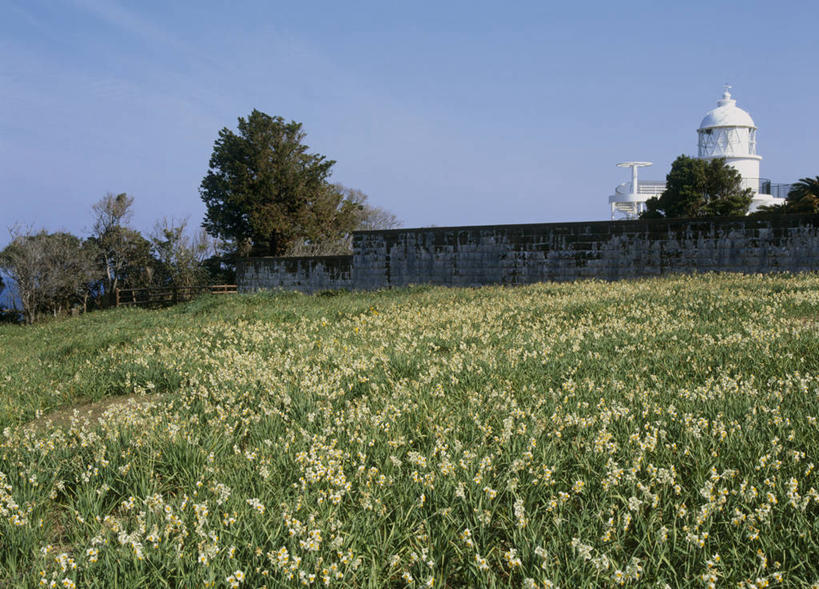 无人,横图,室外,白天,正面,爱情,旅游,度假,陶醉,草地,草坪,花海,花圃,美景,植物,道路,水仙花,叶子,日本,亚洲,阴影,盛开,光线,信息,影子,景观,灯塔,交通,花蕾,方向,娱乐,草,花,花瓣,花朵,花卉,鲜花,树,树木,蓝色,绿色,蓝天,天空,阳光,自然,花丛,花束,花田,天,花苞,花蕊,享受,休闲,景色,放松,生长,晴朗,成长,引导,指引,自然风光,记忆,东亚,本州,万里无云,本州岛,日本国,近畿地方,近畿,金盏银台,玉玲珑,女史花,雅蒜,天蒜,和歌山,和歌山县,敬意,自恋,航标,串本町,凌波仙子,水仙,天葱,晴空,晴空万里,彩图,东牟娄郡,导航