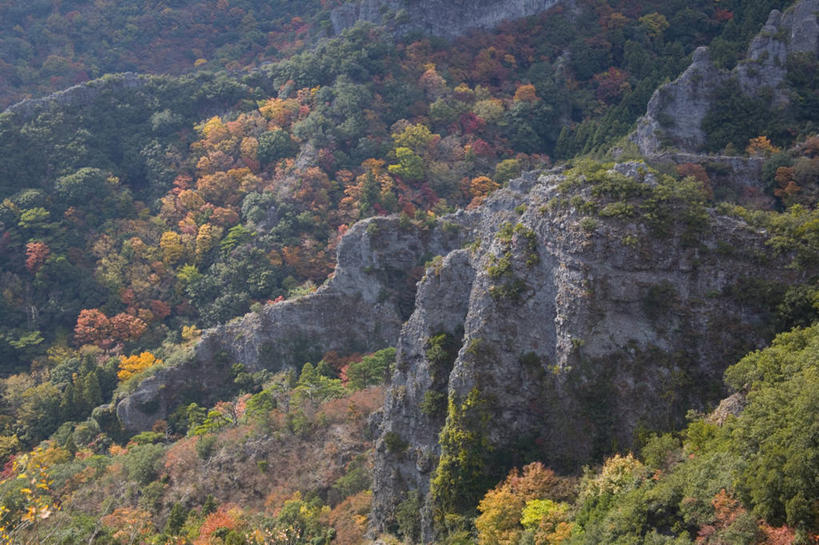 无人,横图,俯视,室外,白天,旅游,度假,石头,美景,秋季,森林,山,山脉,树林,植物,叶子,日本,亚洲,阴影,光线,石子,影子,景观,山峰,枯叶,落叶,山峦,娱乐,树,树木,绿色,阳光,自然,群山,享受,休闲,景色,放松,生长,成长,自然风光,东亚,日本国,四国地方,四国,四国岛,香川,香川县,叶,叶片,石块,岩石,秋,秋天,彩图,高角度拍摄,寒霞溪,小豆岛,小豆郡