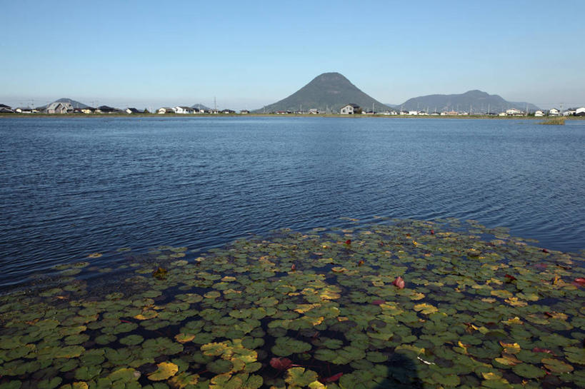 无人,横图,俯视,室外,白天,旅游,度假,石头,美景,山,山脉,睡莲,叶子,日本,亚洲,阴影,波纹,盛开,光线,石子,影子,池塘,景观,山峰,水池,荷叶,涟漪,山峦,花蕾,娱乐,花,花瓣,花朵,鲜花,蓝色,倒影,蓝天,水纹,天空,阳光,自然,波浪,群山,天,花苞,花蕊,享受,休闲,景色,放松,晴朗,倒映,自然风光,东亚,纯真,妖艳,万里无云,日本国,水晕,莲叶,四国地方,四国,四国岛,香川,香川县,水芹花,抒情,洁净,反照,水洋花,小莲花,子午莲,叶,叶片,石块,岩石,晴空,晴空万里,彩图,高角度拍摄,坂出市,饭野山,丸龟市