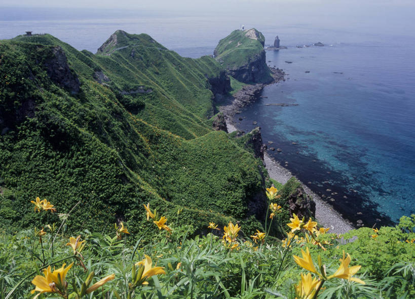 无人,横图,俯视,室外,白天,旅游,度假,草地,草坪,海浪,海洋,花海,花圃,石头,美景,植物,萱草,叶子,北海道,日本,亚洲,盛开,石子,景观,浪花,悬崖,花蕾,娱乐,草,花,花瓣,花朵,花卉,鲜花,黄色,绿色,自然,海水,花丛,花束,花田,花苞,花蕊,享受,休闲,景色,放松,自然风光,海景,东亚,日本国,北海道地方,北海道岛,疗愁,萱草花,宜男,绝壁,大海,风浪,海,海水的波动,近岸浪,石块,岩石,涌浪,忘忧草,金针菜,黄花菜,黄花,彩图,高角度拍摄,后志综合振兴局,振兴局,积丹郡,积丹町