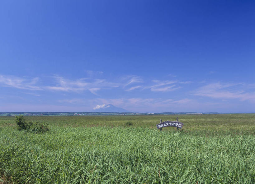 无人,横图,室外,白天,正面,旅游,度假,草地,草原,美景,植物,北海道,日本,亚洲,阴影,光线,影子,地平线,景观,旷野,云,云朵,辽阔,地面,云彩,娱乐,草,蓝色,绿色,白云,蓝天,天空,阳光,自然,天,享受,休闲,广阔,景色,放松,晴朗,一望无际,自然风光,原野,延伸,东亚,日本国,天地相交,北海道地方,北海道岛,无边无际,一马平川,晴空,彩图,留萌振兴局,振兴局,天盐郡,宗谷综合振兴局,丰富町
