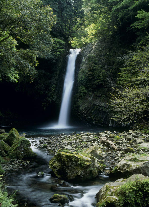 无人,竖图,室外,白天,正面,旅游,度假,石头,美景,瀑布,森林,山,山脉,树林,水,植物,静冈县,日本,亚洲,阴影,飞溅,溅,光线,石子,液体,影子,景观,山峰,水滴,山峦,娱乐,水珠,树,树木,绿色,阳光,自然,群山,享受,休闲,景色,放松,生长,成长,喷洒,自然风光,东亚,本州,本州岛,日本国,中部地方,静冈,伊豆半岛,跌水,石块,岩石,彩图,伊豆市,净莲瀑布