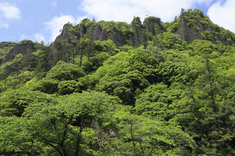 无人,横图,室外,白天,仰视,旅游,度假,美景,森林,山,山脉,树林,植物,日本,亚洲,阴影,光线,影子,景观,山峰,云,云朵,山峦,云彩,娱乐,树,树木,蓝色,绿色,白云,蓝天,天空,阳光,自然,群山,天,享受,休闲,景色,放松,生长,晴朗,成长,自然风光,东亚,本州,本州岛,日本国,中国地方,岛根,岛根县,晴空,彩图,低角度拍摄,出云,出云市,立久惠峡