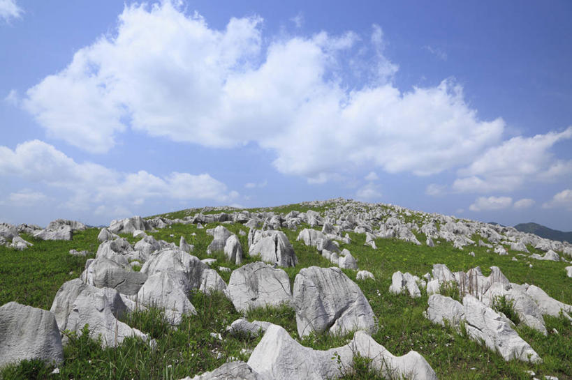无人,横图,室外,白天,正面,旅游,度假,草地,草坪,石头,美景,山,山脉,植物,日本,亚洲,阴影,光线,石子,影子,景观,山峰,云,云朵,山峦,云彩,喀斯特,娱乐,草,蓝色,绿色,白云,蓝天,天空,阳光,自然,群山,天,享受,休闲,景色,放松,晴朗,自然风光,东亚,喀斯特地貌,本州,本州岛,日本国,中国地方,山口,山口县,石灰石,石块,晴空,彩图,岩溶,岩溶地貌,美祢,美祢市,秋吉台
