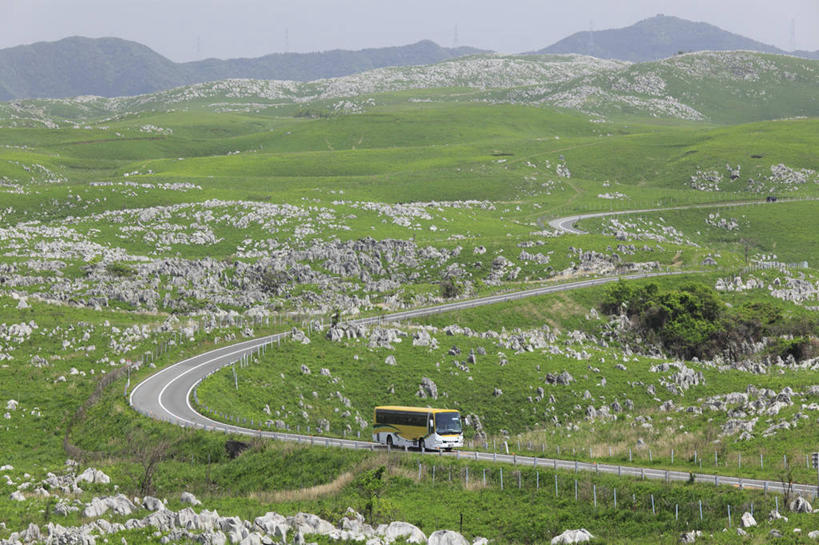 无人,横图,室外,白天,正面,旅游,度假,草地,草坪,石头,美景,山,山脉,植物,道路,路,日本,亚洲,阴影,光线,石子,影子,景观,山峰,小路,交通,山峦,喀斯特,娱乐,草,蓝色,绿色,蓝天,天空,阳光,自然,群山,天,享受,休闲,景色,放松,晴朗,自然风光,东亚,喀斯特地貌,本州,万里无云,本州岛,日本国,中国地方,山口,山口县,石灰石,石块,晴空,晴空万里,彩图,岩溶,岩溶地貌,美祢,美祢市,秋吉台