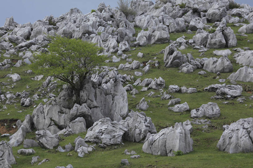 无人,横图,室外,白天,正面,旅游,度假,草地,草坪,石头,美景,植物,爱媛县,日本,亚洲,阴影,光线,石子,影子,景观,喀斯特,娱乐,草,蓝色,绿色,蓝天,天空,阳光,自然,天,享受,休闲,景色,放松,晴朗,自然风光,东亚,喀斯特地貌,万里无云,日本国,爱媛,四国地方,四国,四国岛,石灰石,石块,晴空,晴空万里,彩图,岩溶,岩溶地貌,久万高原町,上浮穴郡