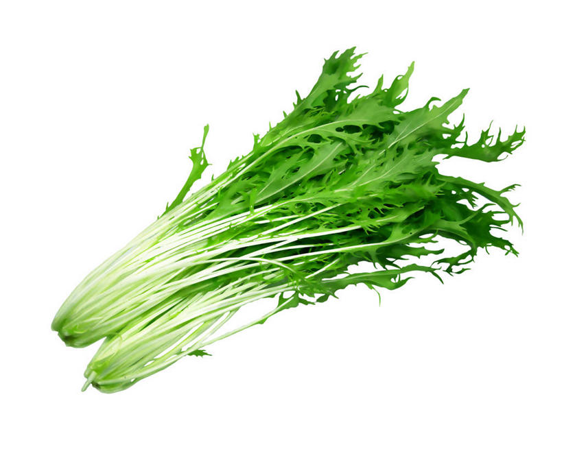 无人,横图,插画,室内,特写,白天,白色背景,正面,数码,科技,蔬菜,阴影,新鲜,网络,食品,高光,几何,计算机图形,合成,图画,画,食物,两个,绿色,有机食品,绿色食品,电脑合成图,数码合成图,合成图,漫画,芝麻菜,写实,具体,具象,德国芥菜,火箭生莱,芸芥,芝麻叶,紫花南芥,彩图