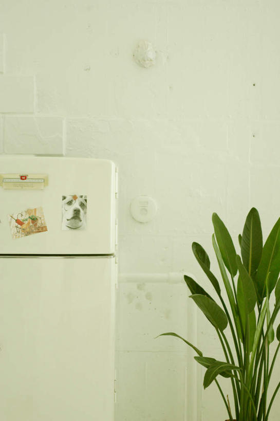 无人,家,竖图,室内,白天,正面,植物,家具,装修,建筑,装饰,盆栽,房屋,屋子,盆景,建设,装潢,楼房,住宅,绿色,自然,室内装潢,生长,成长,明亮,舒适,家居装潢,房屋设计,室内设计,宽敞,样板房装潢,设计,彩图,房子