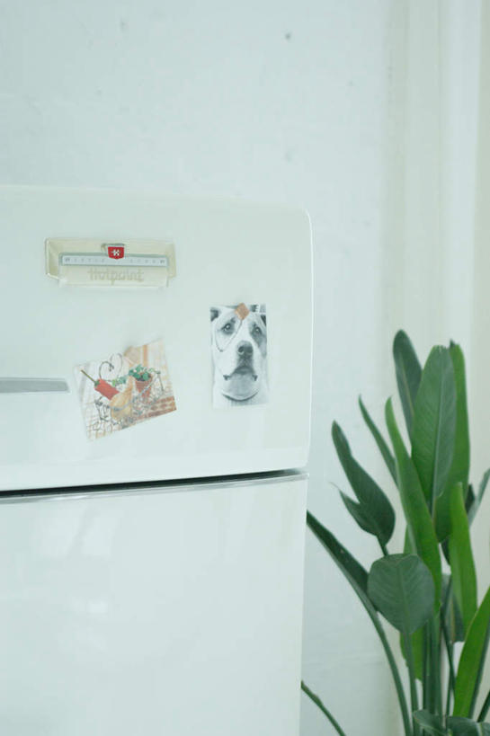 无人,家,竖图,室内,白天,正面,植物,家具,装修,建筑,装饰,盆栽,冰箱,房屋,屋子,盆景,建设,装潢,楼房,住宅,绿色,自然,室内装潢,生长,成长,明亮,舒适,家居装潢,房屋设计,室内设计,宽敞,样板房装潢,设计,彩图,房子