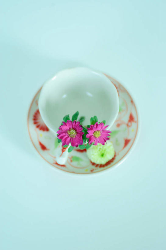 无人,竖图,俯视,室内,白天,静物,杯子,餐具,厨具,蓝色背景,盛开,瓷器,碟子,盘,咖啡杯,陶瓷制品,花蕾,花,花瓣,花朵,鲜花,盘子,碟,花苞,花蕊,摄影,影棚,瓷杯,进餐用具,烹调用具,彩图,高角度拍摄,影棚拍摄,拍摄