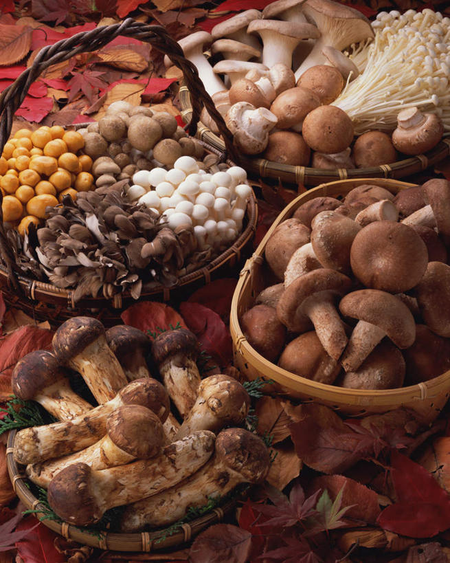 无人,交叉,竖图,俯视,室内,特写,白天,植物,餐桌,桌子,竹子,蔬菜,一堆,许多,堆叠,堆积,竹制,新鲜,编织,篮子,菌菇,蘑菇,香菇,食品,褐色,松茸,草药,药草,很多,菌类,松蕈,中药,食物,竹篮,食用菌,有机食品,绿色食品,餐台,竹条,堆,交织,竹制品,药材,中草药,中药材,本草,大花菌,剥皮菌,菌中之王,山珍,松菇,松菌,松口蘑,裕茂萝,穿插,彩图,高角度拍摄