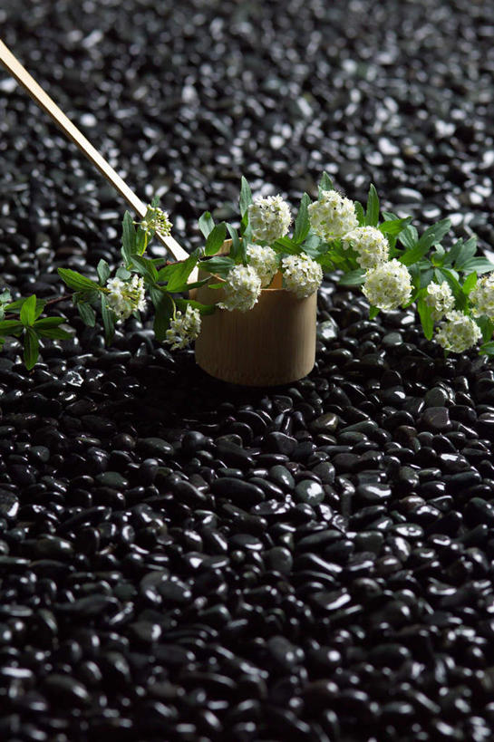 无人,竖图,俯视,室外,特写,白天,石头,盛开,石子,花蕾,花,花瓣,花朵,鲜花,白色,花苞,花蕊,麻叶绣球,麻叶绣线菊,石块,彩图,高角度拍摄