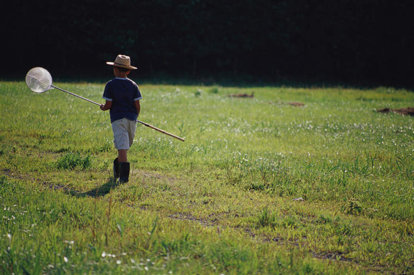 东方人,儿童,一个人,站,横图,室外,白天,纯洁,草地,草坪,植物,帽子,亚洲,仅一个男性,仅一个人,戴,服装,草帽,捕虫网,拿,拿着,注视,休闲装,黄种人,草,小孩,背面,衣服,绿色,观察,看,站着,仅一个小孩,休闲,休闲服,可爱,童年,童趣,服饰,观看,扫网,水网,戴着,察看,关注,童真,烂漫,无邪,扑网,天真,男孩,男人,男性,亚洲人,孩子,站立,彩图,全身,男生