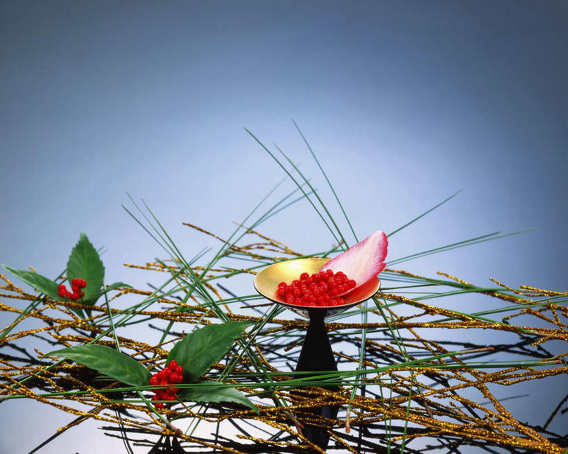 无人,横图,俯视,室内,特写,白天,白色背景,叶子,盛开,陶瓷,绿叶,陶瓷制品,花蕾,酒瓶,花,花瓣,花朵,鲜花,瓶子,花苞,花蕊,嫩叶,摄影,影棚,叶,叶片,彩图,高角度拍摄,影棚拍摄,拍摄,清酒瓶