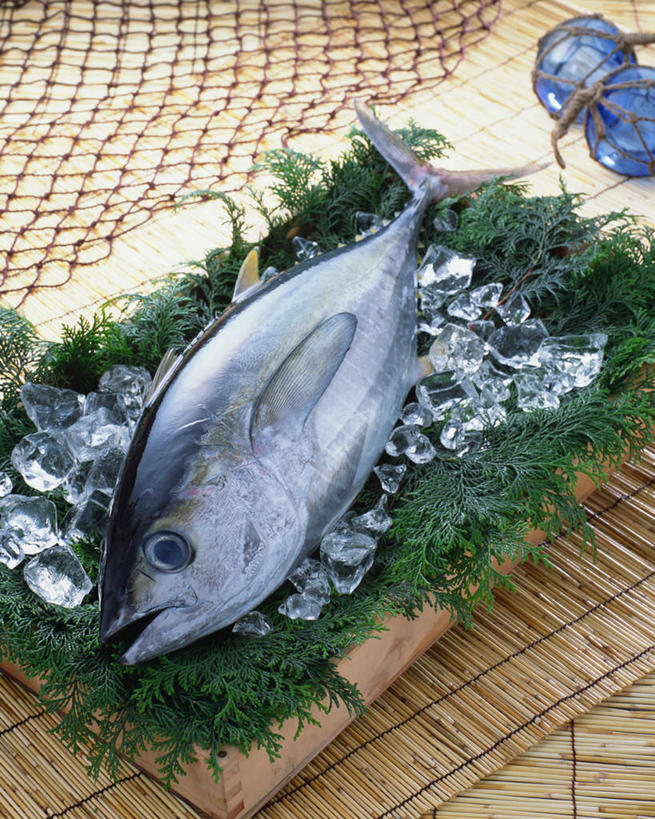 海鲜,无人,竖图,俯视,室内,特写,白天,餐桌,桌子,叶子,一条,阴影,装饰,光线,影子,冰,冰块,绿叶,鲔鱼,冷冻,水产,金枪鱼,嫩叶,寒冷,冷藏,餐台,华丽,修饰,点缀,吞拿鱼,冰冷,海产品,衬托,美观,雅致,雅观,保鲜,叶,叶片,彩图,高角度拍摄