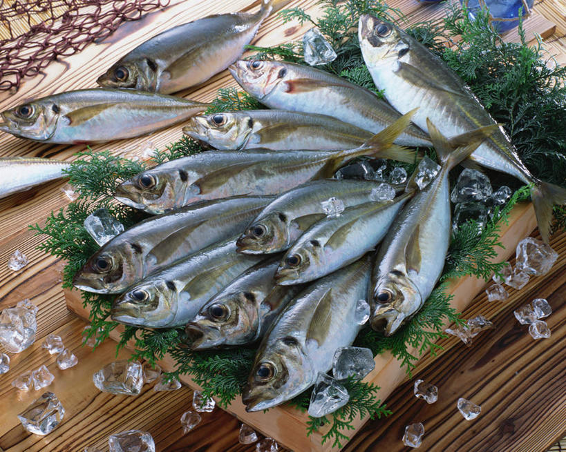 无人,横图,俯视,室内,特写,白天,餐桌,桌子,叶子,一排,阴影,整齐,装饰,光线,鱼,影子,绿叶,鱼类,海洋生物,排列,嫩叶,餐台,华丽,修饰,巴浪,竹荚鱼,点缀,队列,水生动物,水生物,海底动物,衬托,美观,雅致,雅观,刺公,山鲐鱼,叶,叶片,彩图,高角度拍摄