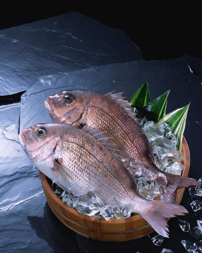 海鲜,无人,竖图,俯视,室内,特写,白天,餐桌,桌子,叶子,两条,阴影,装饰,光线,木桶,桶,影子,冰,冰块,绿叶,鲷鱼,冷冻,水产,容器,嫩叶,寒冷,冷藏,餐台,储藏,华丽,修饰,鲷,加吉鱼,铜盆鱼,点缀,冰冷,储存,海产品,红笛鲷,衬托,美观,雅致,雅观,班加吉,加真鲷,保鲜,大红鱼,赤鳍笛鲷,红鳍笛鲷,红鱼,叶,叶片,彩图,高角度拍摄,贮存