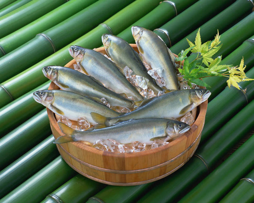 无人,横图,俯视,室内,特写,白天,纯洁,餐桌,桌子,竹子,叶子,一排,阴影,整齐,装饰,光线,鱼,木桶,桶,影子,冰,水滴,冰块,绿叶,香鱼,冷冻,鱼类,海洋生物,水珠,排列,容器,嫩叶,寒冷,冷藏,餐台,储藏,华丽,修饰,点缀,冰冷,高雅,储存,队列,水生动物,水生物,海底动物,衬托,美观,雅致,雅观,奉献,质朴,正直,保鲜,担当,瓜鱼,海胎鱼,秋生子,细鳞鱼,香油鱼,叶,叶片,竹,彩图,高角度拍摄,奋进,操守,四君子,岁寒三友,性坚,虚怀,虚心,贮存,善群,卓尔