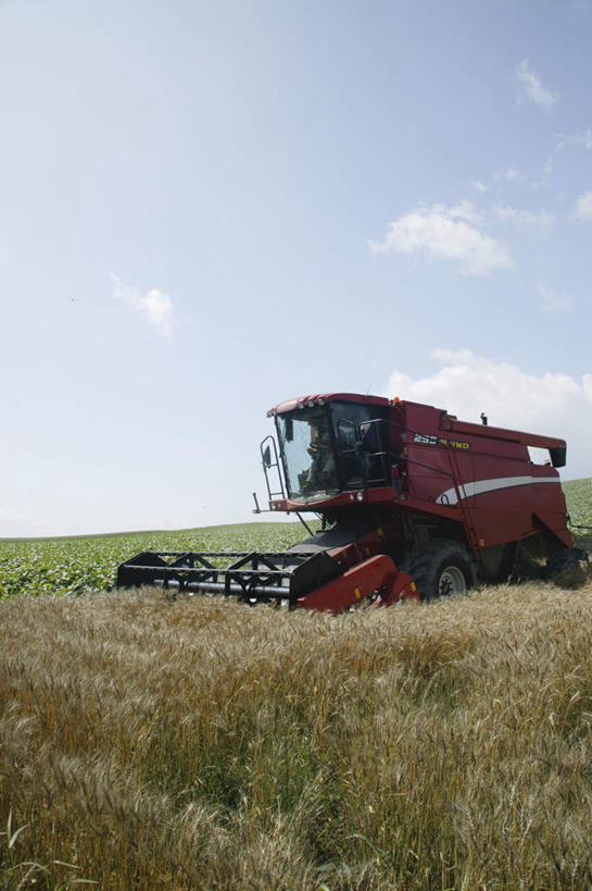 无人,农田,竖图,室外,白天,正面,旅游,度假,庄稼,草地,草坪,美景,植物,阴影,光线,影子,景观,云,云朵,云彩,娱乐,车,草,蓝色,绿色,白云,蓝天,天空,阳光,自然,交通工具,天,享受,休闲,景色,放松,自然风光,收割机,联合收割机,彩图,耕地,庄稼田