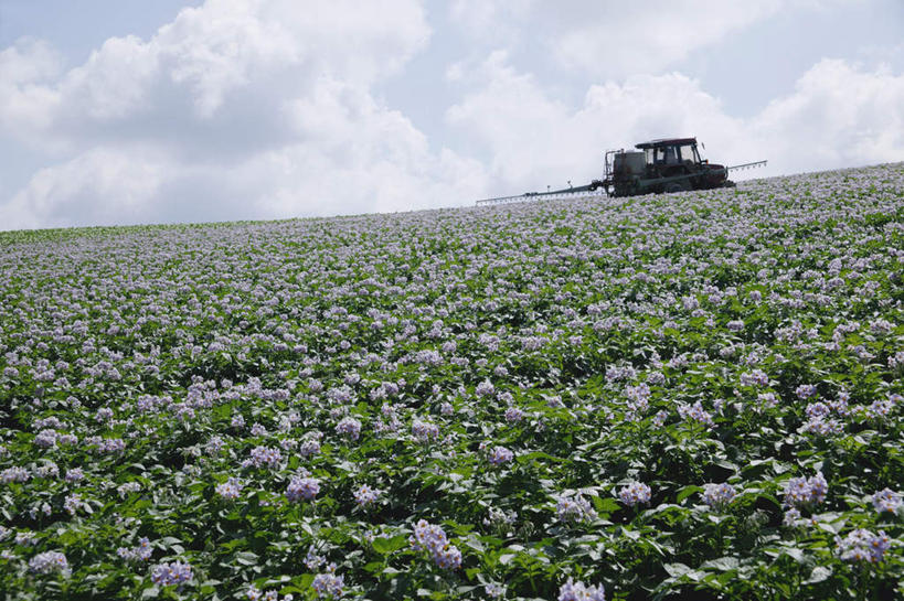 无人,农田,横图,室外,白天,仰视,旅游,度假,庄稼,美景,阴影,盛开,光线,影子,景观,云,云朵,花蕾,云彩,娱乐,车,花,花瓣,花朵,鲜花,蓝色,白色,白云,蓝天,天空,阳光,自然,交通工具,天,花苞,花蕊,享受,休闲,景色,放松,自然风光,收割机,联合收割机,彩图,低角度拍摄,耕地,庄稼田