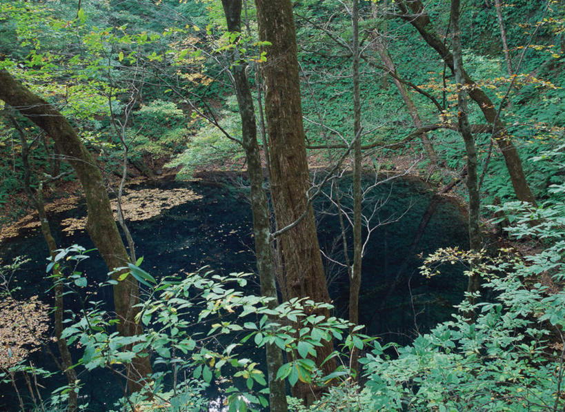 无人,横图,俯视,室外,白天,旅游,度假,湖,湖泊,美景,森林,树林,水,植物,日本,亚洲,波纹,湖面,景观,水流,水面,苔藓,涟漪,娱乐,树,树木,绿色,倒影,水纹,自然,波浪,湖水,享受,休闲,景色,放松,生长,成长,倒映,自然风光,东亚,本州,本州岛,日本国,水晕,青森,青森县,东北地方,白神山地,反照,彩图,高角度拍摄