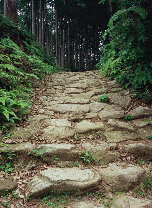 无人,竖图,室外,白天,正面,旅游,度假,美景,森林,树林,植物,道路,路,日本,亚洲,景观,小路,交通,娱乐,树,树木,绿色,自然,享受,休闲,景色,放松,生长,成长,自然风光,东亚,本州,本州岛,日本国,近畿地方,近畿,和歌山,和歌山县,彩图