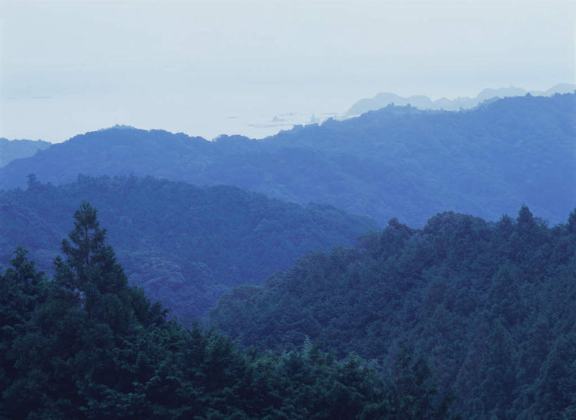 无人,横图,俯视,室外,白天,旅游,度假,美景,森林,山,树林,植物,日本,亚洲,景观,山峰,山峦,娱乐,树,树木,绿色,自然,享受,休闲,景色,放松,生长,成长,自然风光,东亚,本州,本州岛,日本国,近畿地方,近畿,和歌山,和歌山县,彩图,高角度拍摄