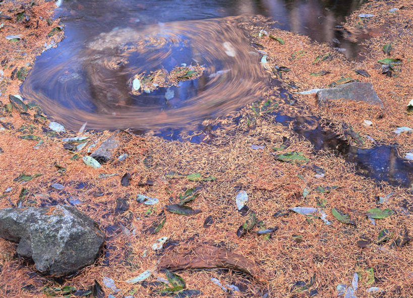 无人,横图,俯视,室外,白天,旅游,度假,河流,石头,美景,水,叶子,长野县,日本,亚洲,石子,河水,景观,水流,落叶,娱乐,自然,享受,休闲,景色,放松,自然风光,东亚,本州,本州岛,日本国,中部地方,长野,叶,叶片,石块,岩石,彩图,高角度拍摄