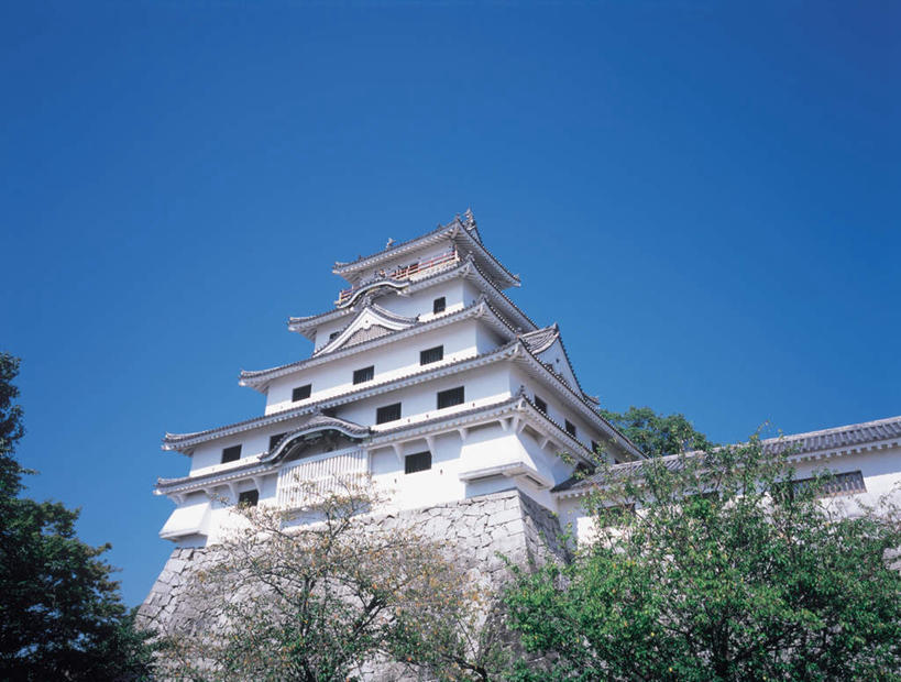 无人,横图,室外,白天,仰视,旅游,度假,名胜古迹,植物,地标,日本,亚洲,遗迹,古迹,文物,娱乐,古建筑,树,树木,蓝色,绿色,蓝天,天空,自然,天,享受,休闲,旅游胜地,放松,生长,晴朗,成长,古文明,东亚,万里无云,日本国,九州本岛,九州,九州岛,佐贺,佐贺县,九州地方,唐津,晴空,晴空万里,彩图,低角度拍摄,唐津市,标志性建筑,唐津城,舞鹤城