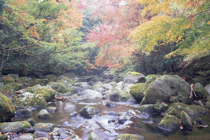 无人,横图,室外,白天,正面,旅游,度假,河流,石头,美景,水,植物,日本,亚洲,石子,河水,景观,水流,娱乐,树,树木,绿色,天空,小溪,自然,天,溪水,享受,休闲,景色,放松,生长,成长,自然风光,东亚,日本国,九州本岛,九州,九州岛,九州地方,熊本,熊本县,石块,岩石,彩图