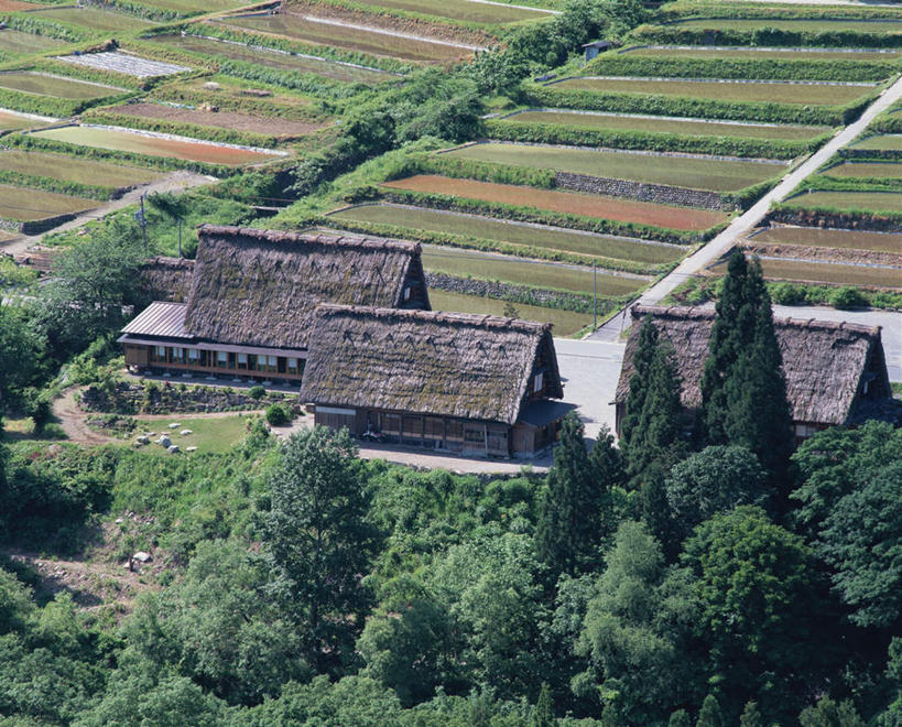 无人,家,农田,横图,俯视,室外,白天,旅游,度假,庄稼,草地,石头,美景,植物,一排,整齐,石子,房屋,屋子,草屋,景观,娱乐,住宅,草,树,树木,排列,绿色,自然,茅草屋,享受,休闲,景色,放松,生长,成长,队列,自然风光,三幢,石块,岩石,彩图,高角度拍摄,耕地,庄稼田,房子,茅舍,茅屋,小屋