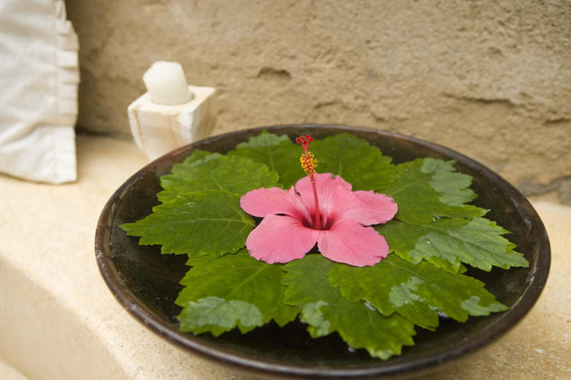 无人,横图,俯视,室外,特写,白天,蜡烛,叶子,阴影,漂浮,盛开,光线,火焰,影子,烛光,绿叶,粉红,燃烧,花蕾,赤素馨花,花,花瓣,花朵,鲜花,一朵,粉色,黑色,盘子,枕头,花苞,花蕊,点燃,叶,叶片,彩图,高角度拍摄