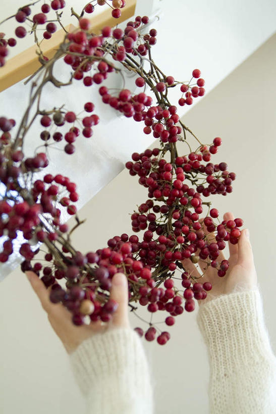 东方人,手,一个人,举,竖图,室内,特写,白天,仰视,浆果,圣诞节,亚洲,双手,仅一个年轻女性,仅一个女性,仅一个人,握,悬挂,节日,庆祝,装饰,花环,枝,拿,拿着,黄种人,文化,装饰品,红色,工艺品,托,庆典,手部,握着,纪念,华丽,修饰,圣诞花环,点缀,衬托,美观,雅致,雅观,圣诞圈,年轻女性,女人,女性,亚洲人,举起,举手,举着,向上举,向上伸,向上托,半身,彩图,低角度拍摄